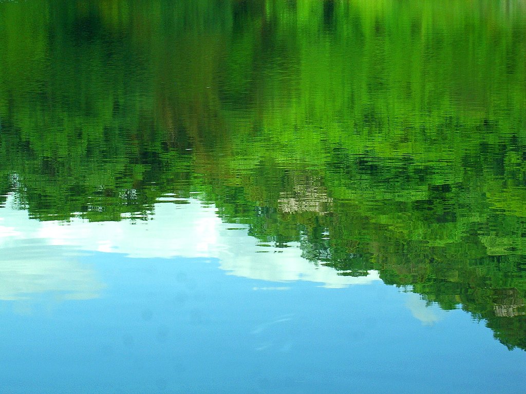 【この色　好き！】湖面