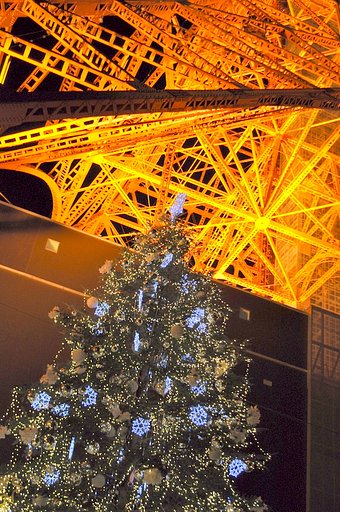 クリスマスツリー