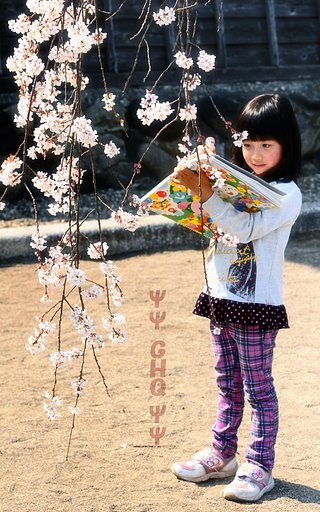 【おだやかに・・・春】 スケッチ