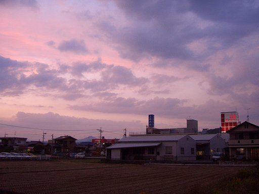無理して