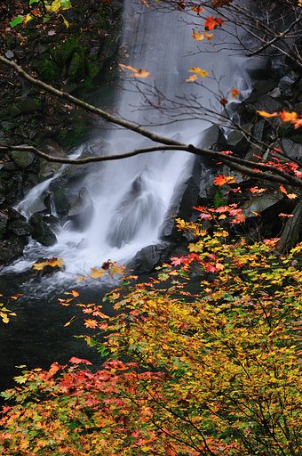 滝と紅葉