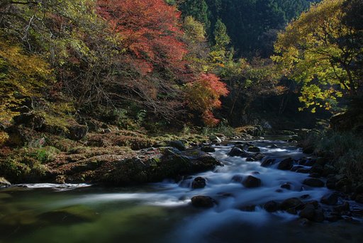 そんなに急がなくても・・・