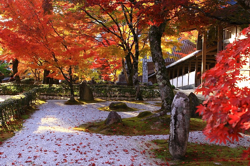 永源寺にて