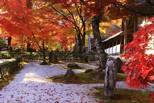 永源寺にて