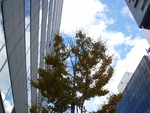 今日は・・・