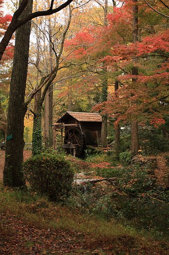 水車小屋