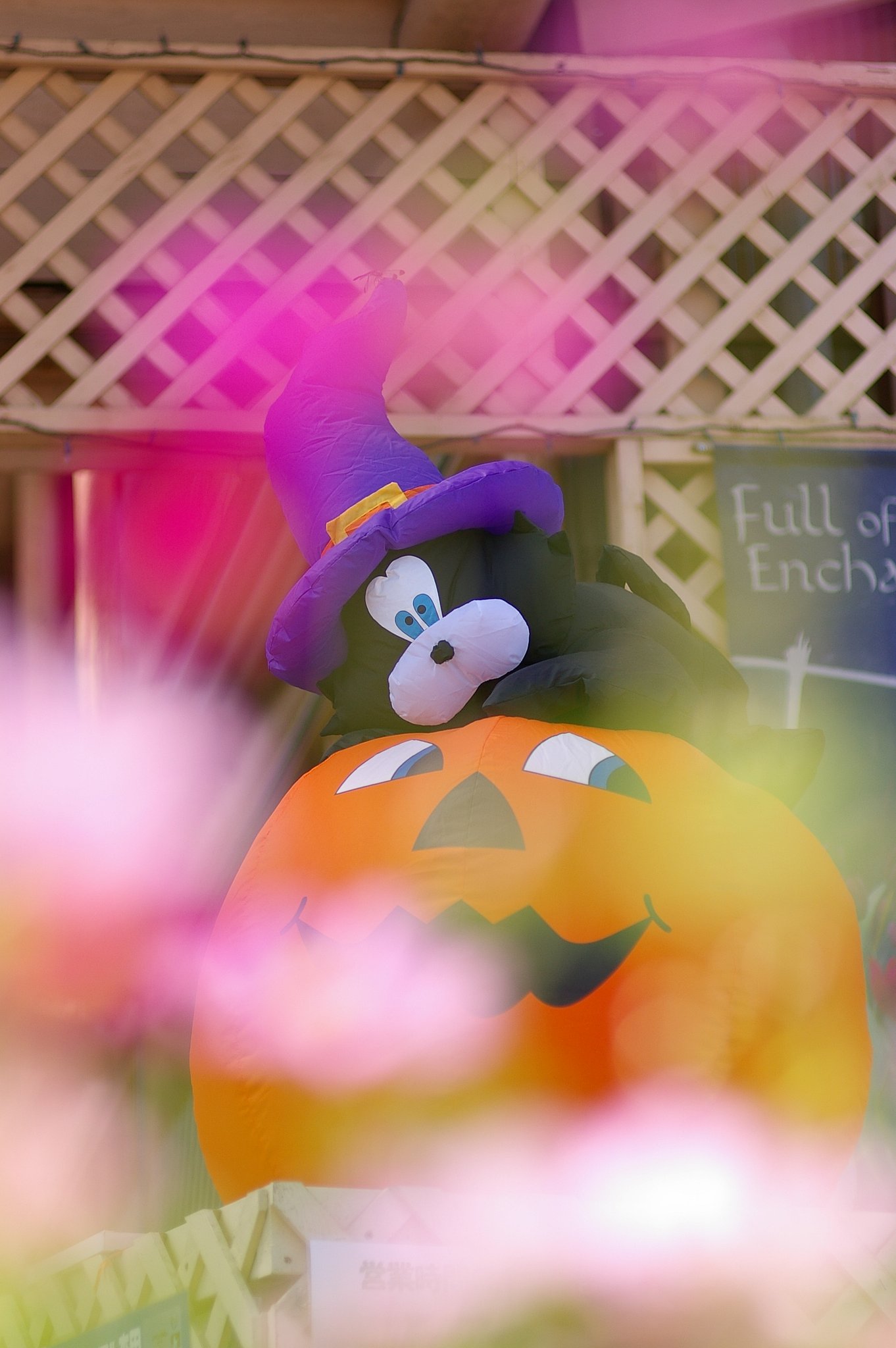 jack-o'-lantern