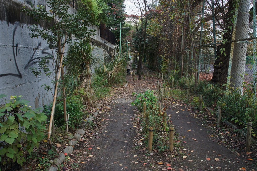 夕暮れの散歩道