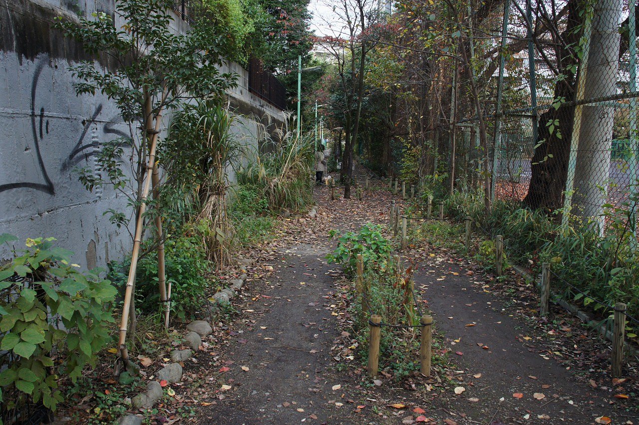 夕暮れの散歩道