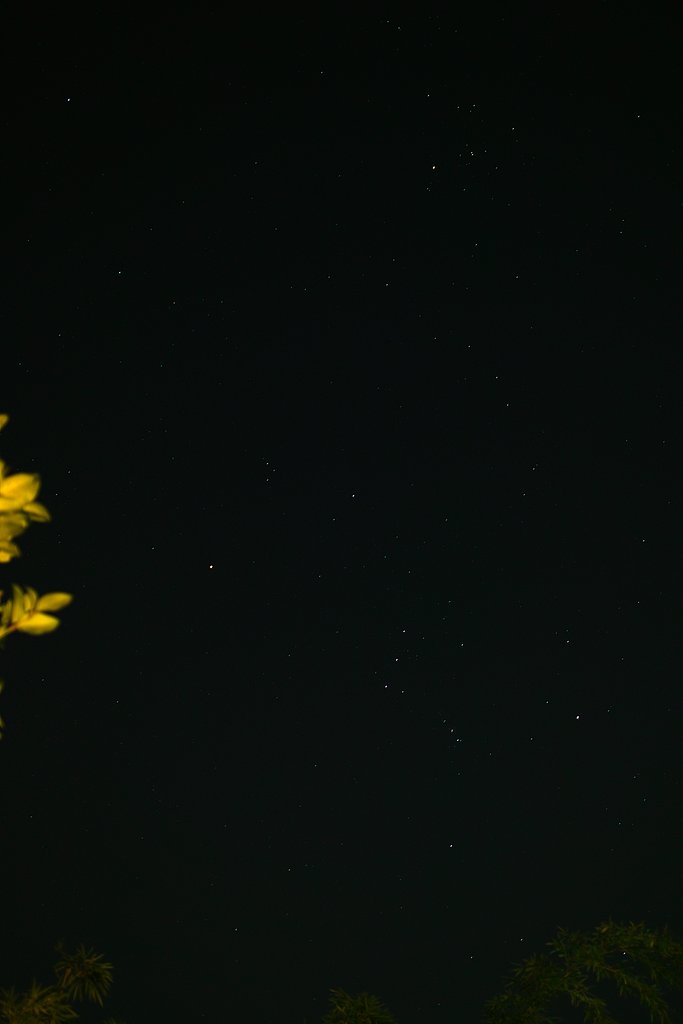【写真しりとり】たくさんの星と言いたかったけど　→　「と」