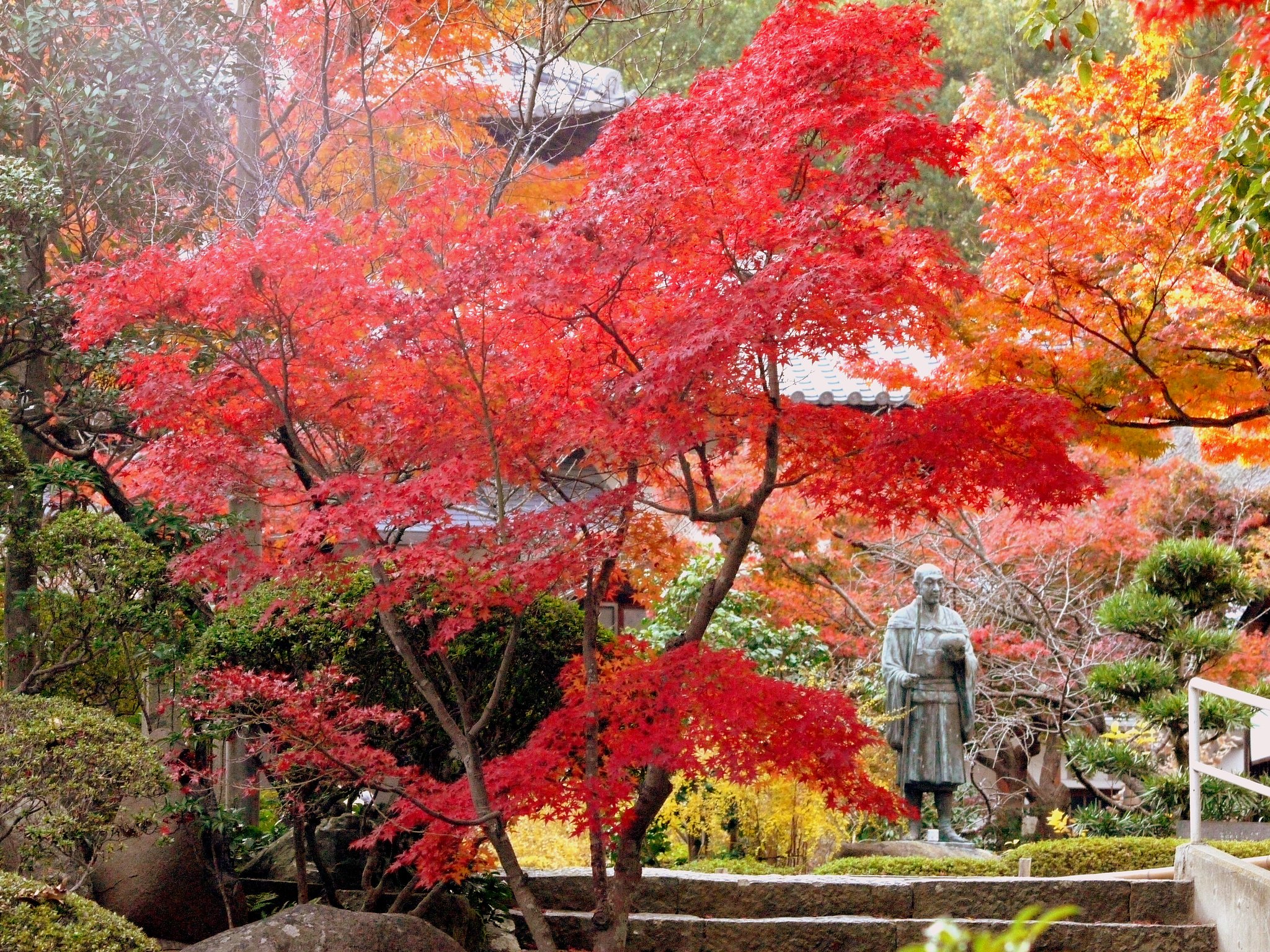 寺の紅葉