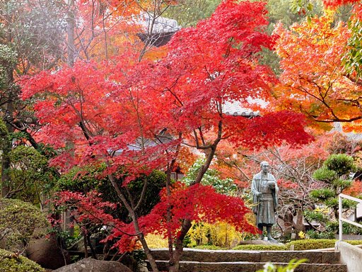寺の紅葉