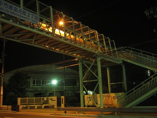 【金】網のトンネル橋