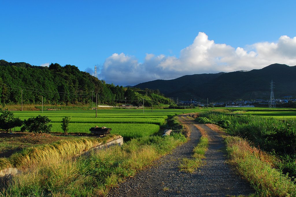 どこにでもありそうな景色