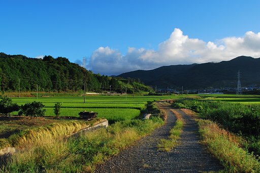 どこにでもありそうな景色