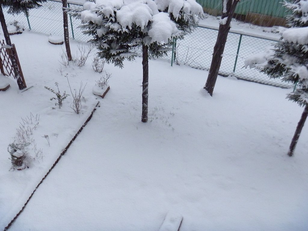 雪