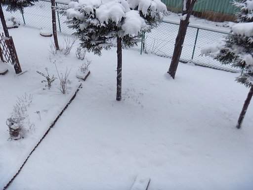 雪