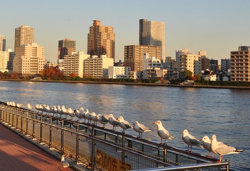 墨田川の風景