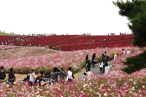 国立ひたち海浜公園