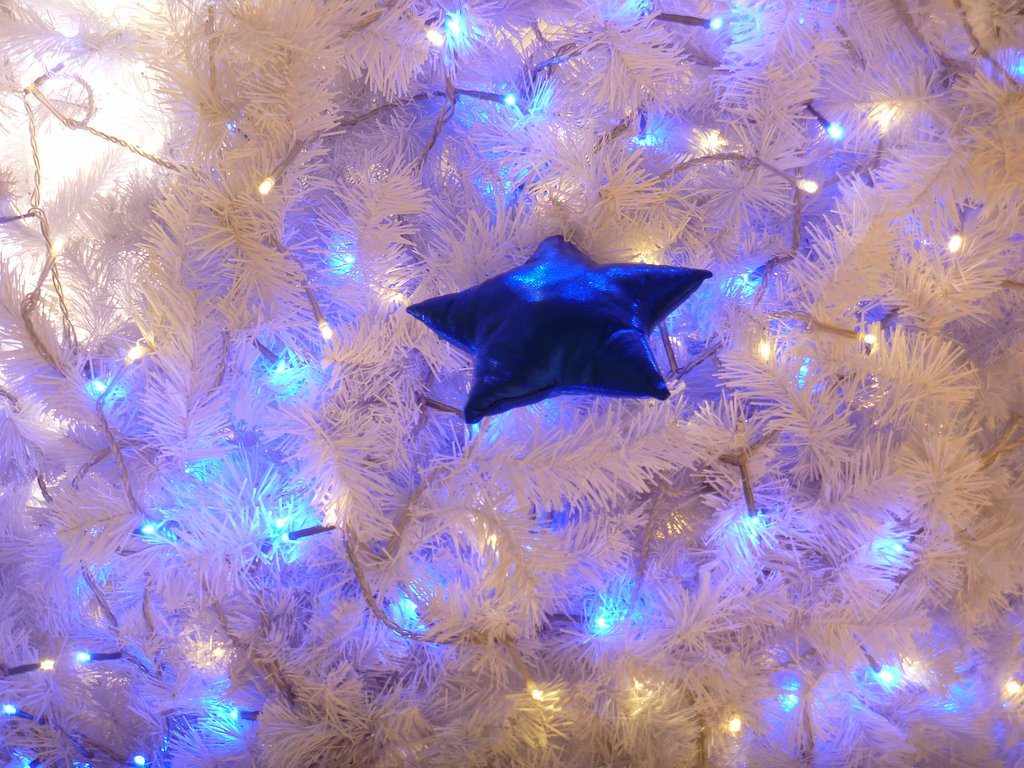 【Ｘ】☆星☆