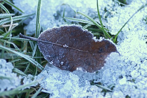 Here comes winter!
