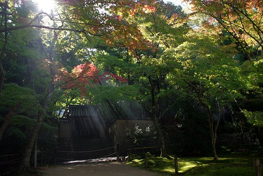 宝福寺から・・・