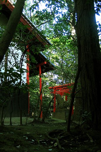 【絵のような】緑の中の赤鳥居