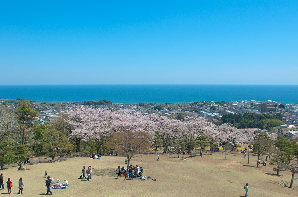 平和な海・・・
