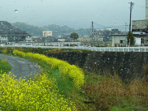 【おだやかに・・・春】春雨