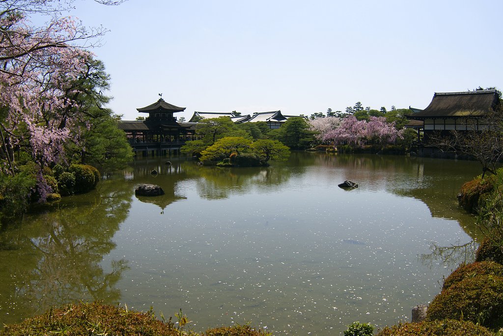平安神宮の春