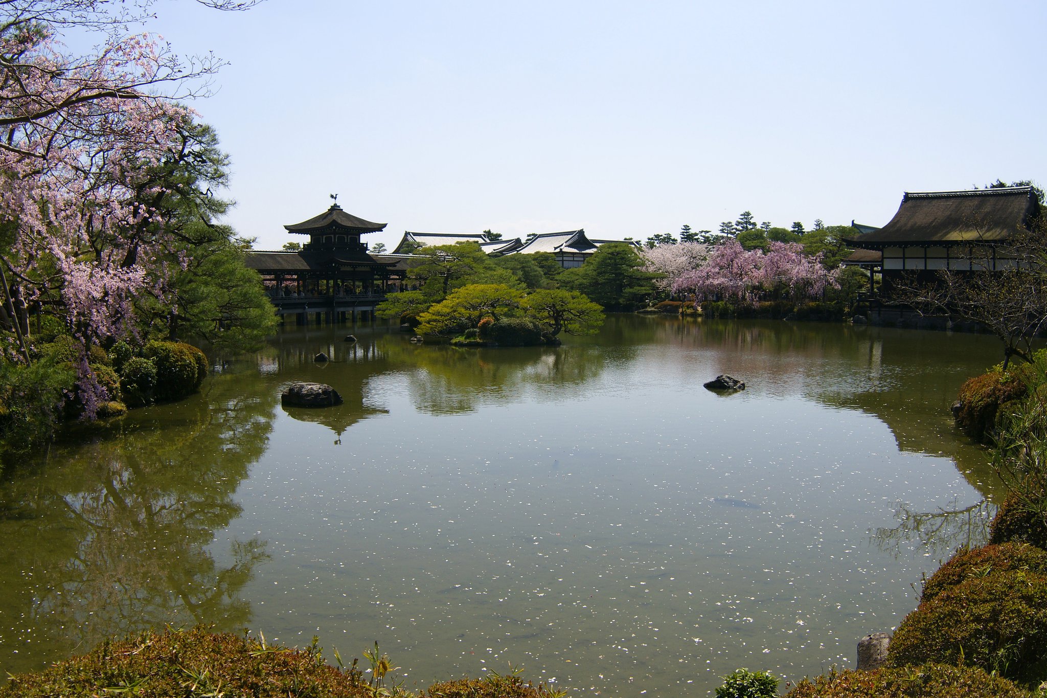平安神宮の春