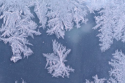 1月16日の写真