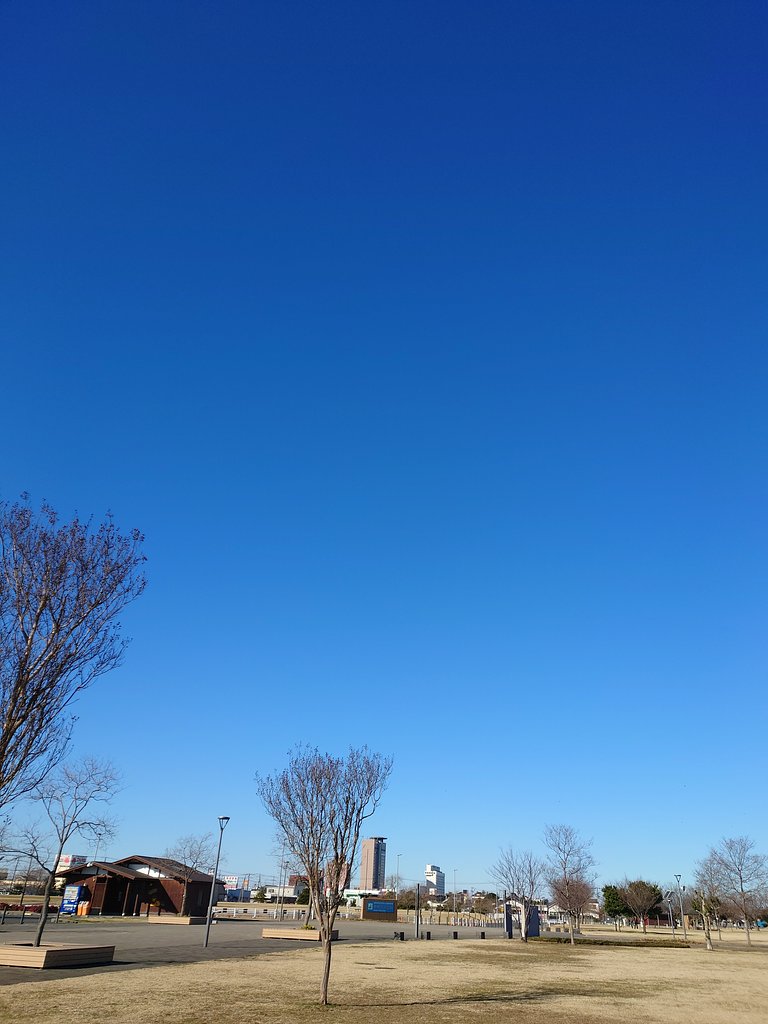 真冬の青空