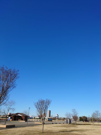 真冬の青空