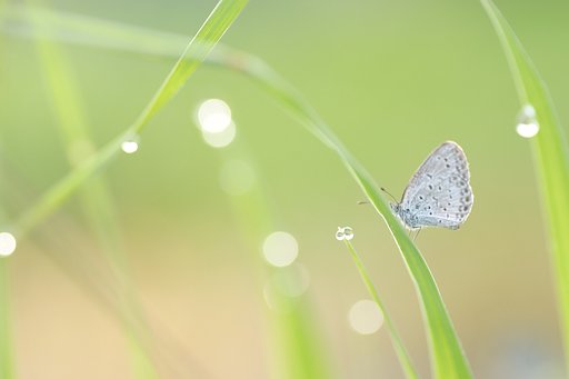 爽やかグラデーション