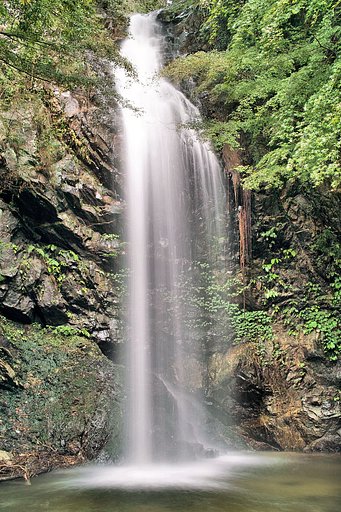 【金】滝水