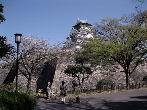 散歩コース