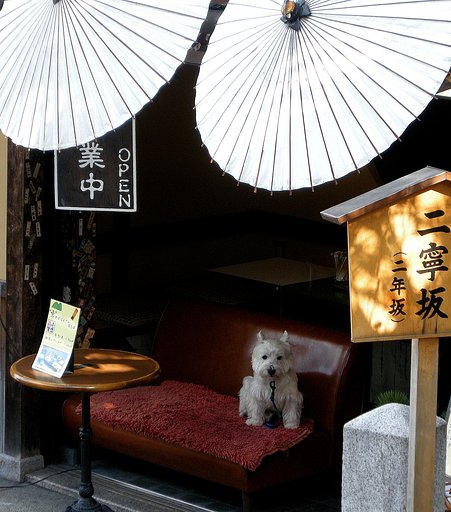 おいでやす番犬？
