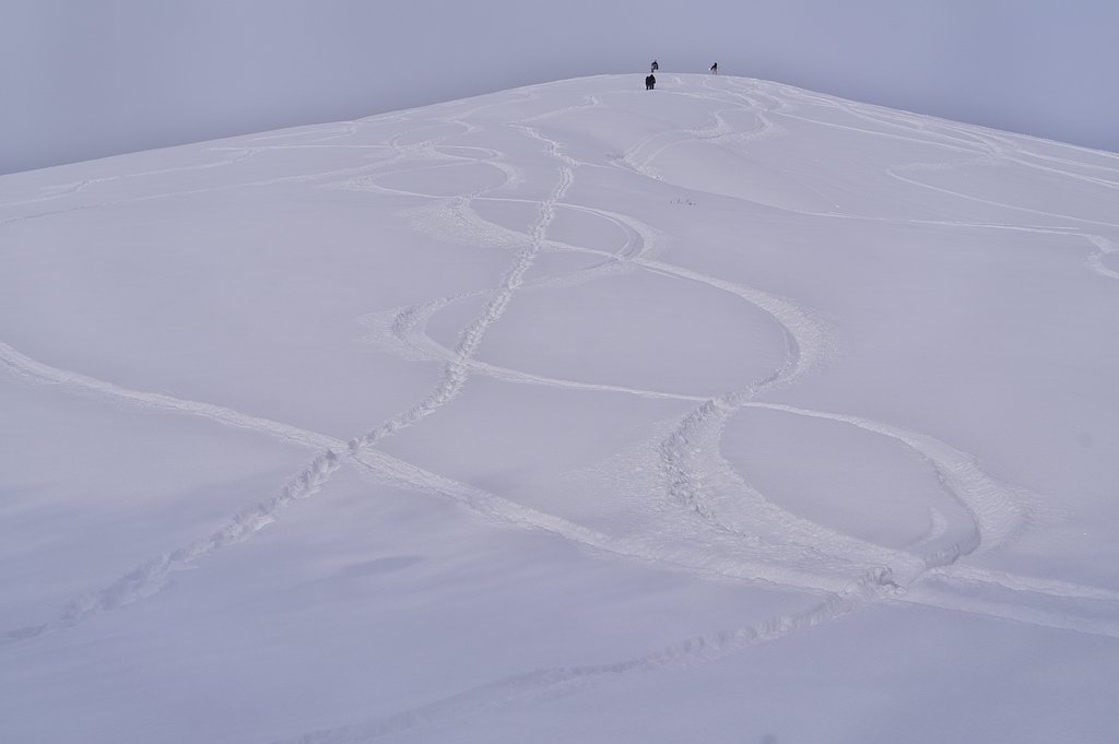 新雪