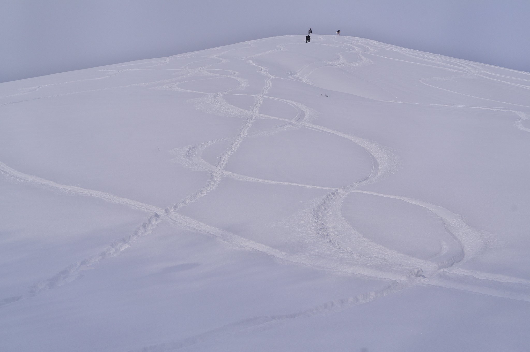 新雪