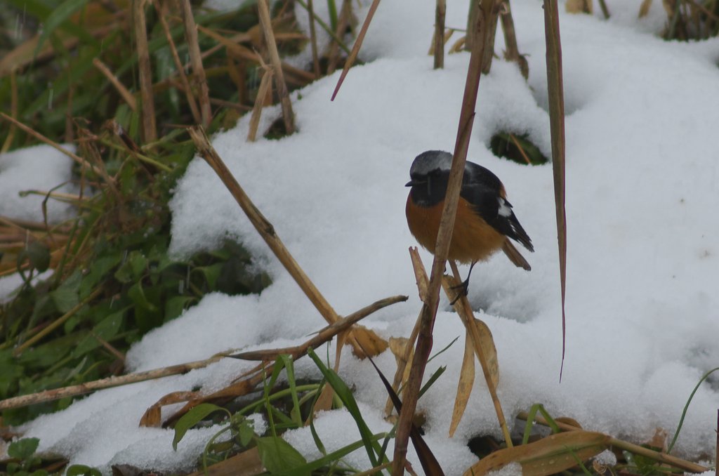 毎日寒いですね!