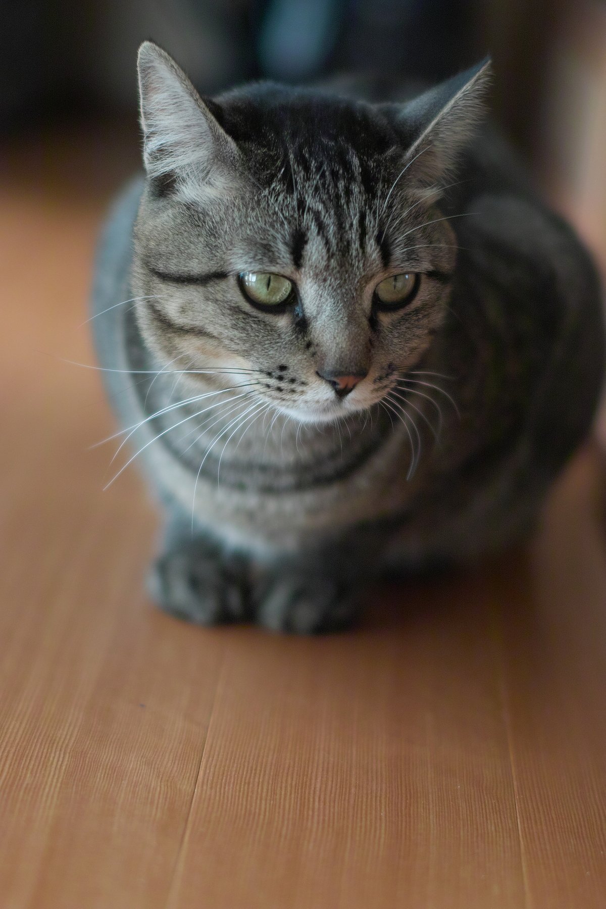 外は雪