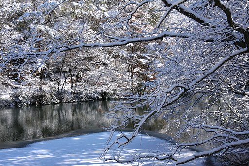 池のある風景