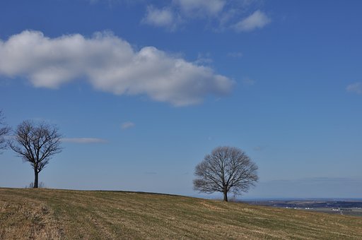 晩秋の青空