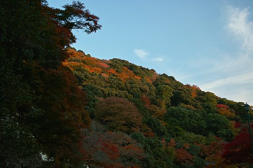 【絵のような】のを撮りに行った