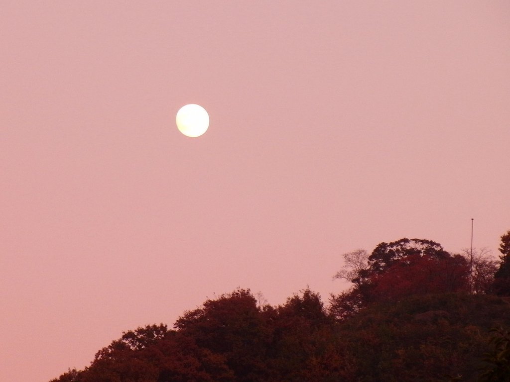 宵の月