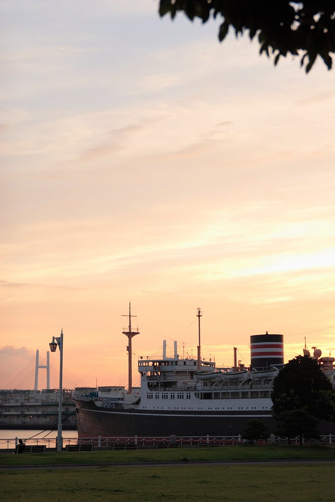 朝