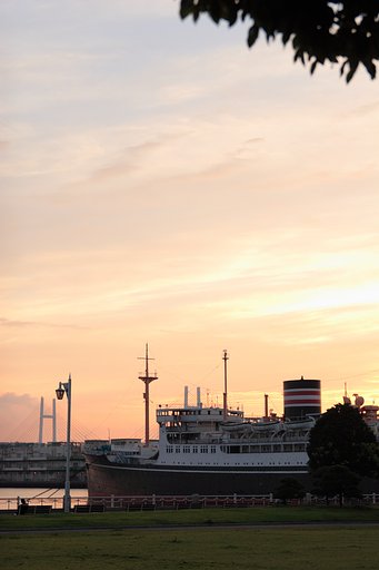 朝