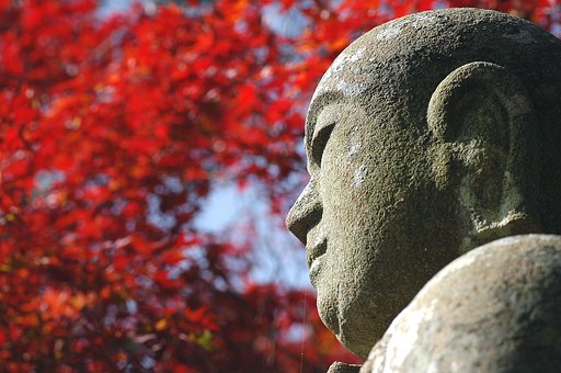 立冬の陽射し