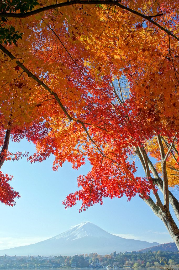 富士と紅葉